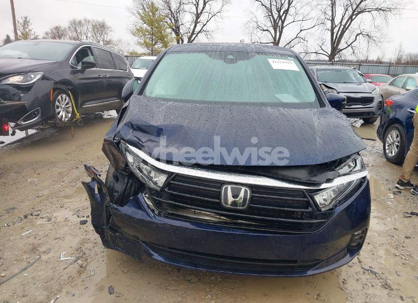 Photo 12 of 2021 Honda Odyssey EX-L (VIN 5FNRL6H70MB025037)