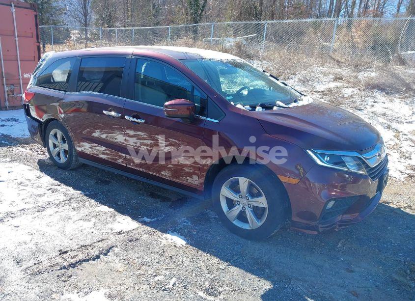 2019 Honda Odyssey EX-L (VIN 5FNRL6H71KB011113) main photo