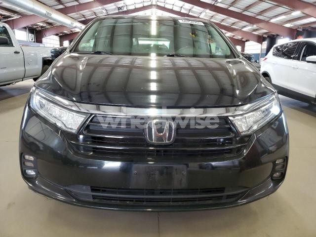 2022 HONDA ODYSSEY EXL (VIN 5FNRL6H71NB037019) main photo