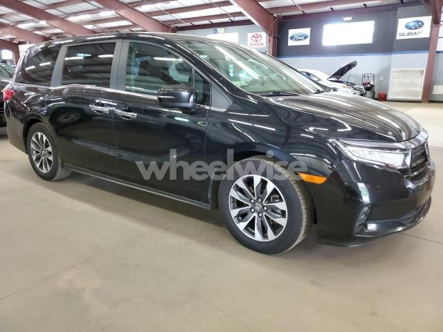 Photo 4 of 2022 HONDA ODYSSEY EXL (VIN 5FNRL6H71NB037019)