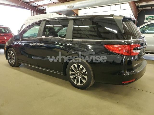 Photo 5 of 2022 HONDA ODYSSEY EXL (VIN 5FNRL6H71NB037019)