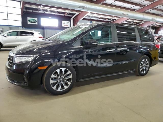 Photo 8 of 2022 HONDA ODYSSEY EXL (VIN 5FNRL6H71NB037019)
