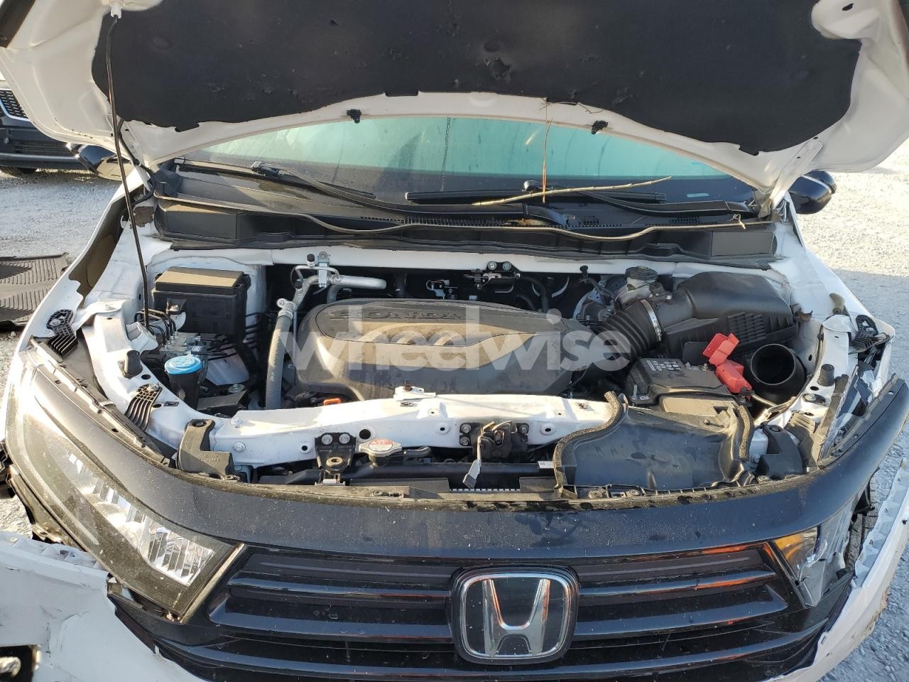 Photo 12 of 2024 HONDA ODYSSEY SPORT (VIN 5FNRL6H71RB069040)