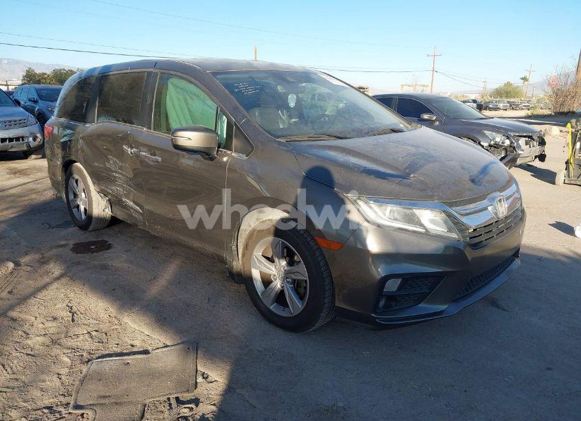 2019 Honda Odyssey EX-L (VIN 5FNRL6H72KB066959) main photo