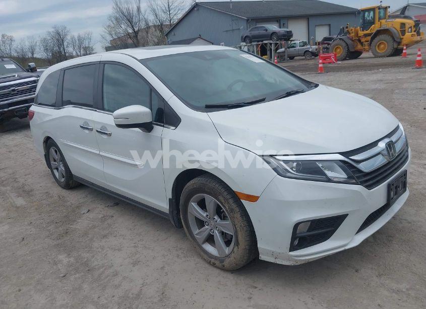 2020 Honda Odyssey (VIN 5FNRL6H72LB059155) main photo