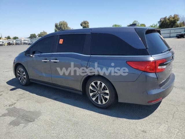 2021 HONDA ODYSSEY EXL (VIN 5FNRL6H72MB015349) main photo