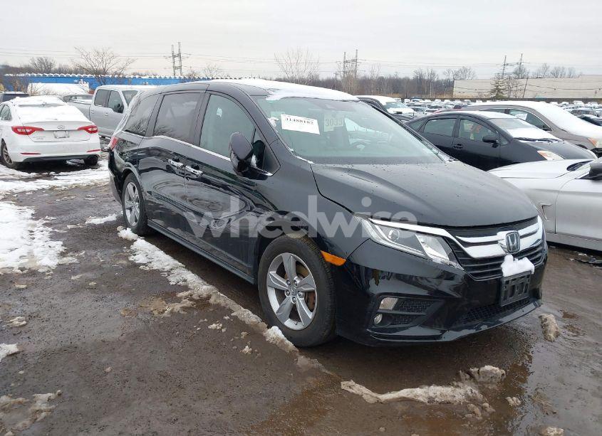 2019 Honda Odyssey EX-L (VIN 5FNRL6H74KB118821) main photo