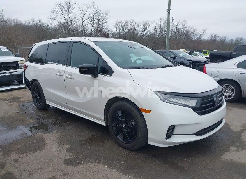 2024 Honda Odyssey SPORT (VIN 5FNRL6H74RB069338) main photo