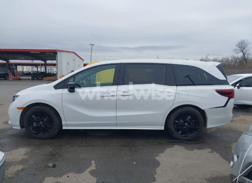 Photo 14 of 2024 Honda Odyssey SPORT (VIN 5FNRL6H74RB069338)