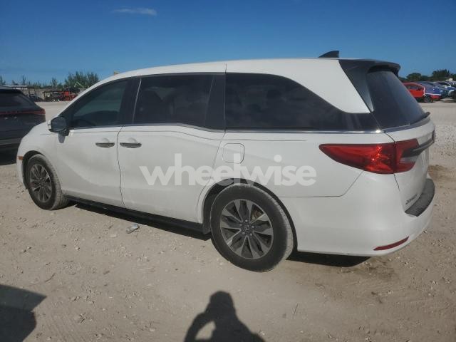 Photo 10 of 2022 HONDA ODYSSEY EXL (VIN 5FNRL6H75NB064496)