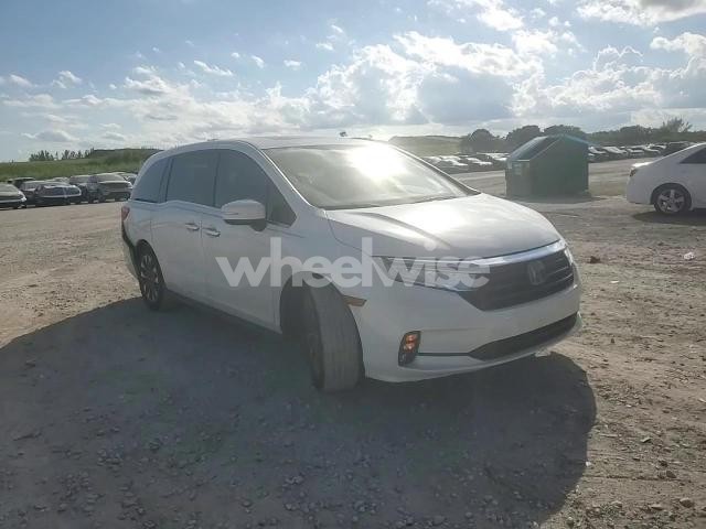 Photo 3 of 2022 HONDA ODYSSEY EXL (VIN 5FNRL6H75NB064496)