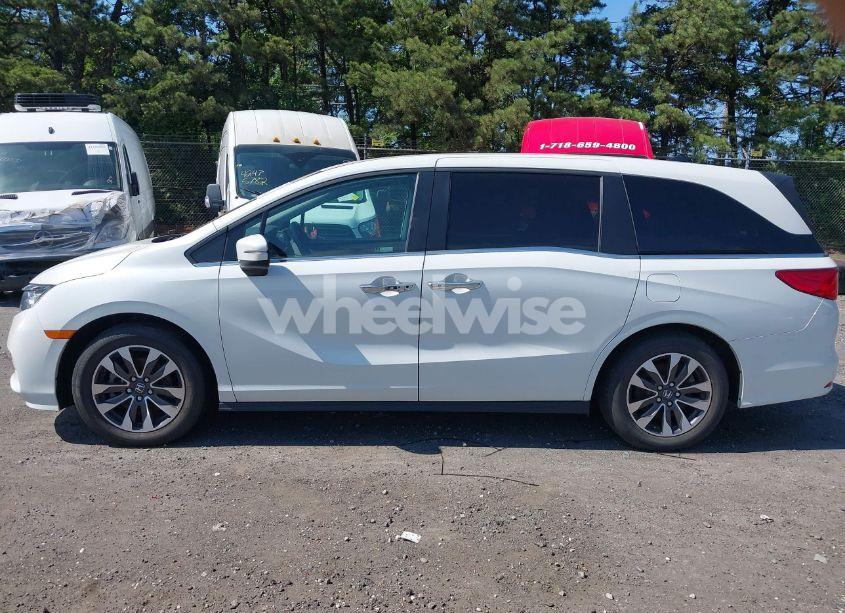 Photo 14 of 2022 Honda Odyssey EX-L (VIN 5FNRL6H75NB066099)