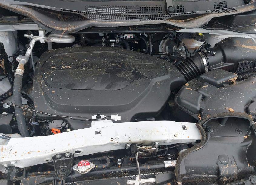 Photo 10 of 2024 Honda Odyssey SPORT (VIN 5FNRL6H75RB042603)