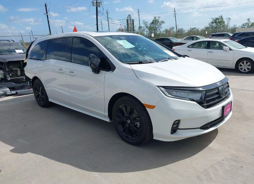 2024 Honda Odyssey SPORT (VIN 5FNRL6H76RB067784) main photo