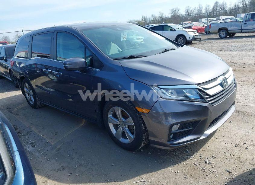 2018 Honda Odyssey EX-L (VIN 5FNRL6H77JB101803) main photo