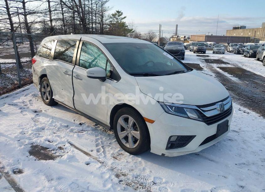 2019 Honda Odyssey EX-L (VIN 5FNRL6H77KB085572) main photo