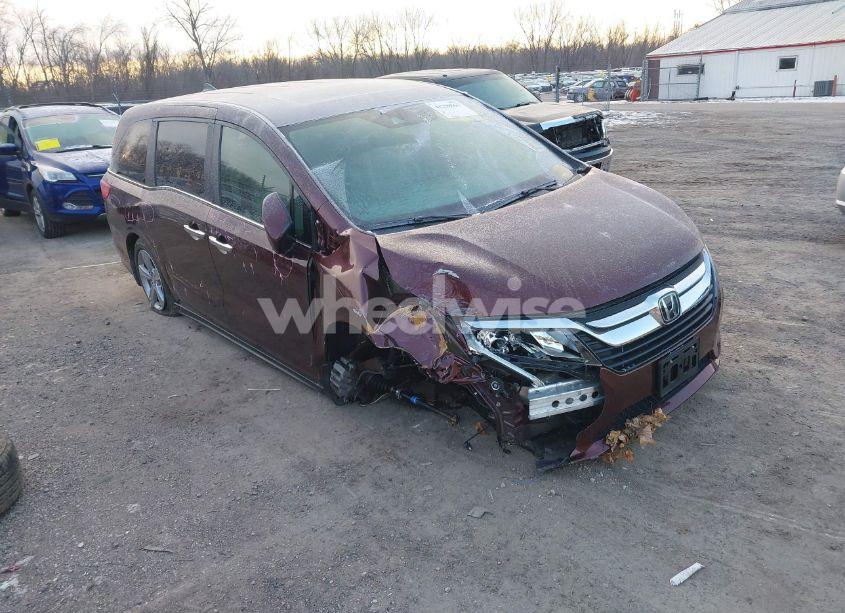 2019 Honda Odyssey EX-L (VIN 5FNRL6H77KB125391) main photo