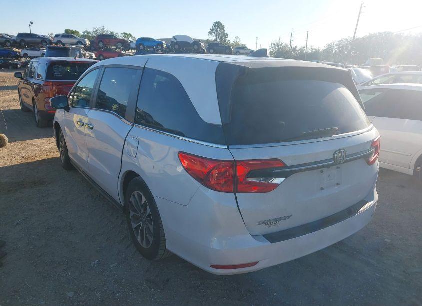 Photo 3 of 2021 Honda Odyssey EX-L (VIN 5FNRL6H77MB001799)