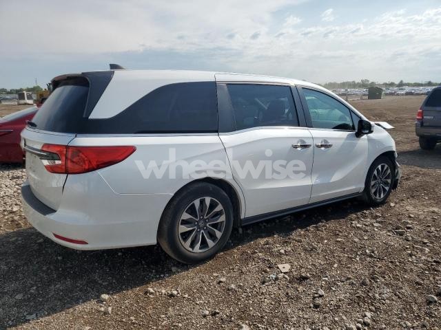2021 HONDA ODYSSEY EXL (VIN 5FNRL6H77MB015234) main photo