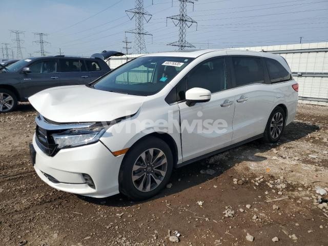 Photo 5 of 2021 HONDA ODYSSEY EXL (VIN 5FNRL6H77MB015234)