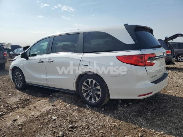 Photo 6 of 2021 HONDA ODYSSEY EXL (VIN 5FNRL6H77MB015234)