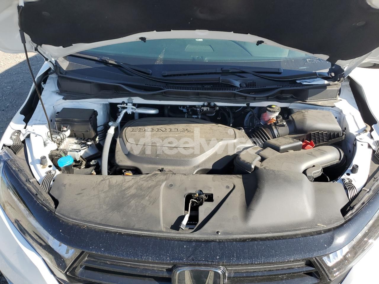 Photo 12 of 2024 HONDA ODYSSEY SPORT (VIN 5FNRL6H77RB059404)