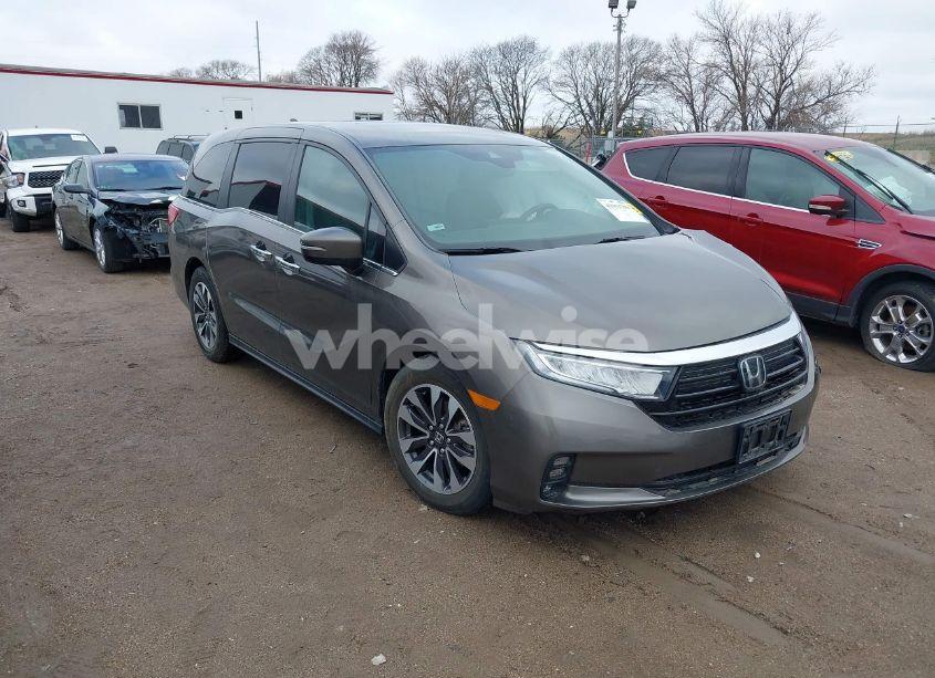 2021 Honda Odyssey EX-L (VIN 5FNRL6H78MB012780) main photo