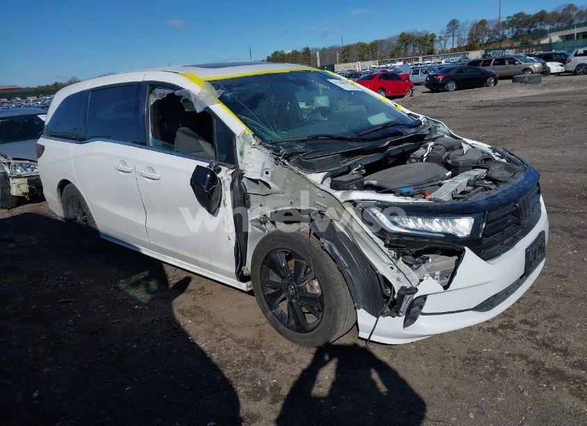 2024 Honda Odyssey SPORT (VIN 5FNRL6H78RB005741) main photo