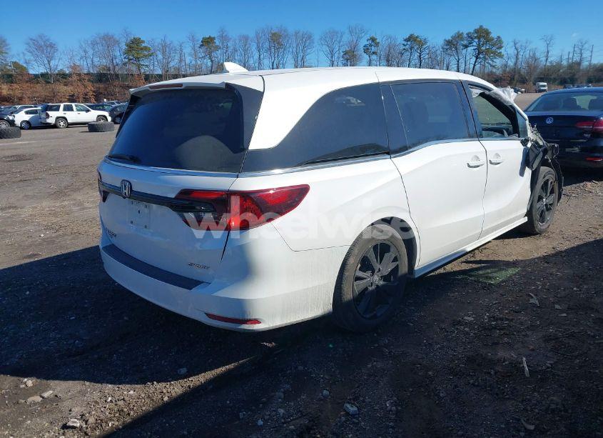 Photo 4 of 2024 Honda Odyssey SPORT (VIN 5FNRL6H78RB005741)