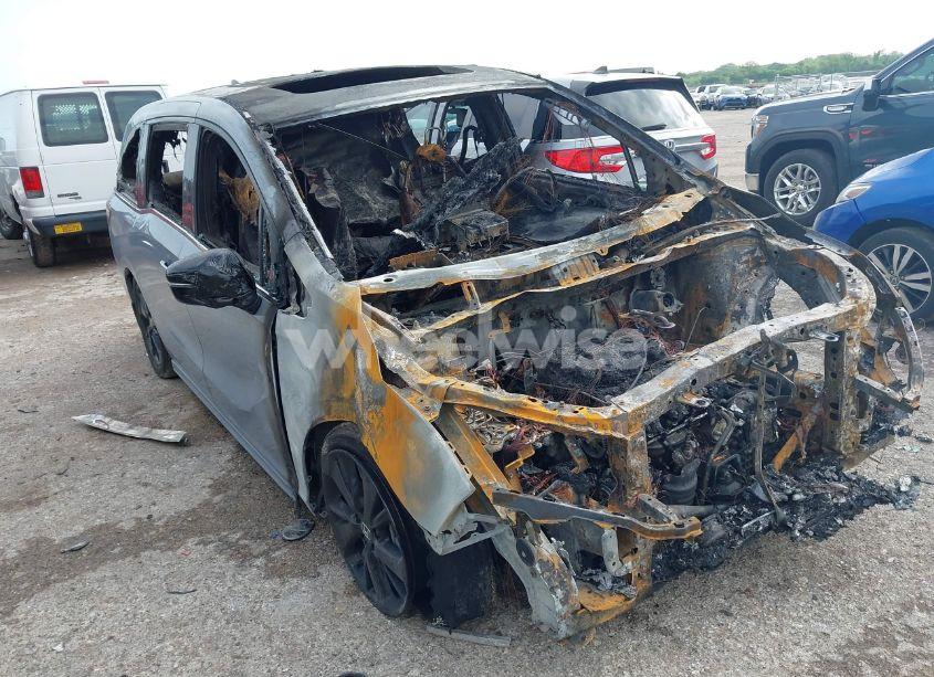 2024 Honda Odyssey SPORT (VIN 5FNRL6H78RB035998) main photo