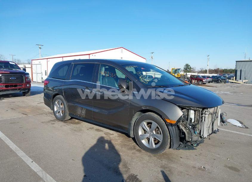 2018 Honda Odyssey EX-L (VIN 5FNRL6H79JB010516) main photo