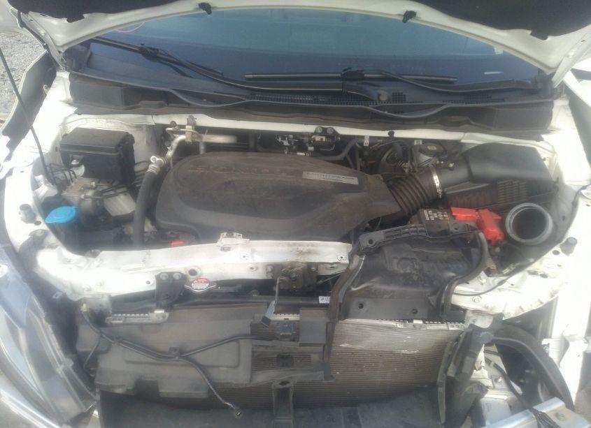 Photo 10 of 2019 Honda Odyssey EX-L (VIN 5FNRL6H79KB082981)