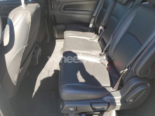 Photo 10 of 2024 HONDA ODYSSEY SPORT N/A (VIN 5FNRL6H79RB007501)