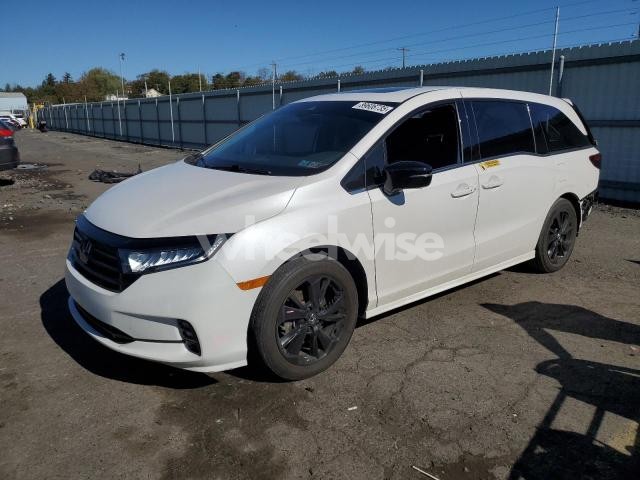 Photo 14 of 2024 HONDA ODYSSEY SPORT N/A (VIN 5FNRL6H79RB007501)