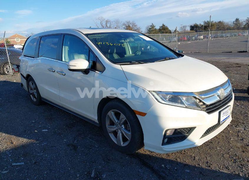 2018 Honda Odyssey EX-L (VIN 5FNRL6H7XJB008841) main photo