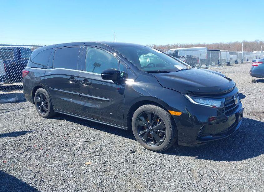 2023 Honda Odyssey SPORT (VIN 5FNRL6H7XPB032467) main photo