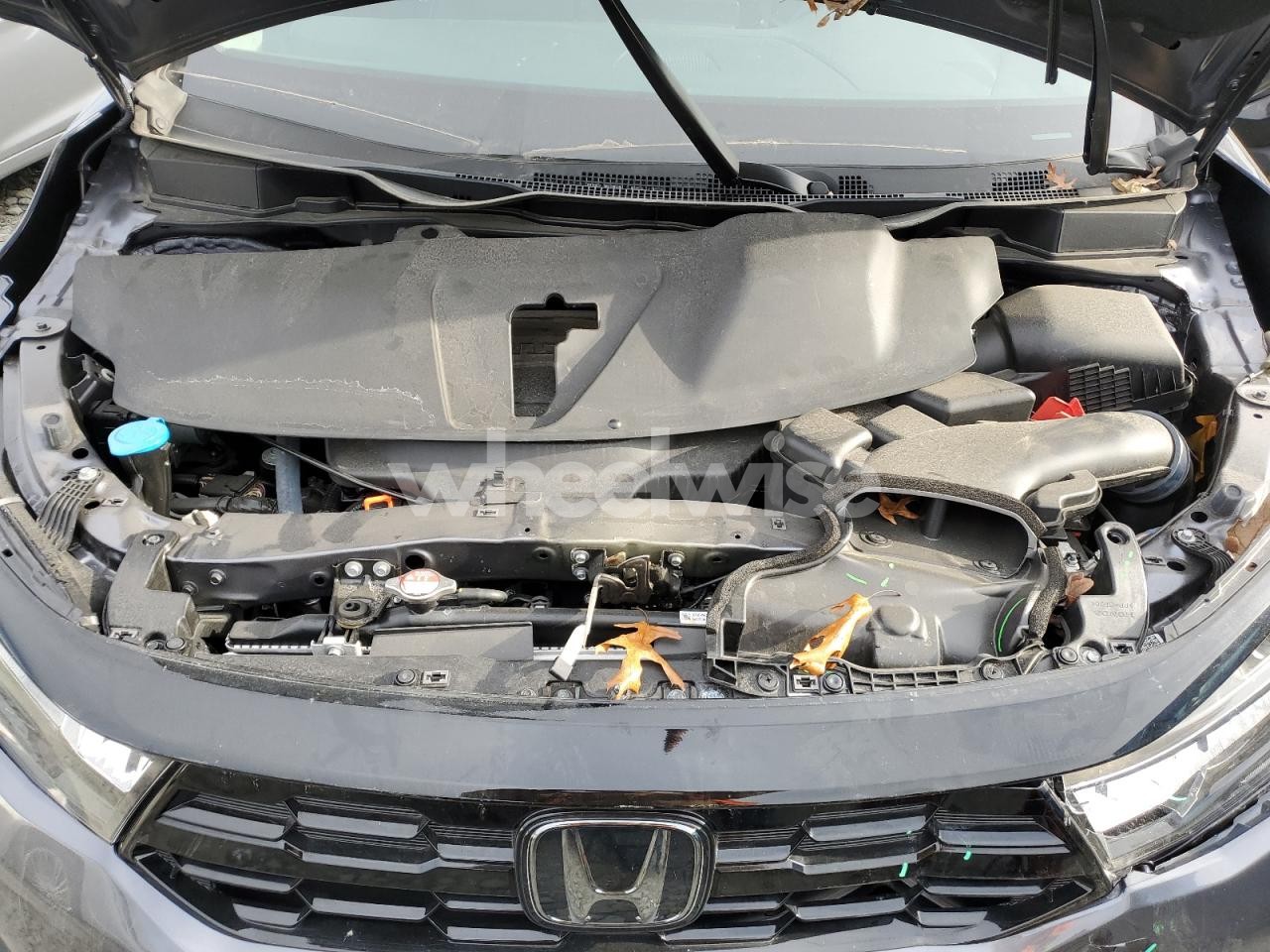 Photo 12 of 2025 HONDA ODYSSEY TOURING (VIN 5FNRL6H85SB014394)