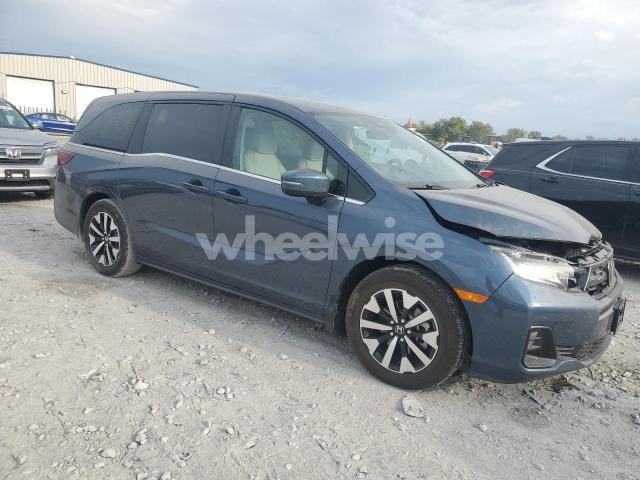 Photo 6 of 2025 HONDA ODYSSEY EXL (VIN 5FNRL6H86SB025758)