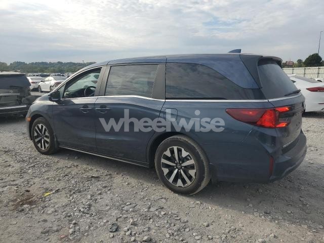 Photo 8 of 2025 HONDA ODYSSEY EXL (VIN 5FNRL6H86SB025758)