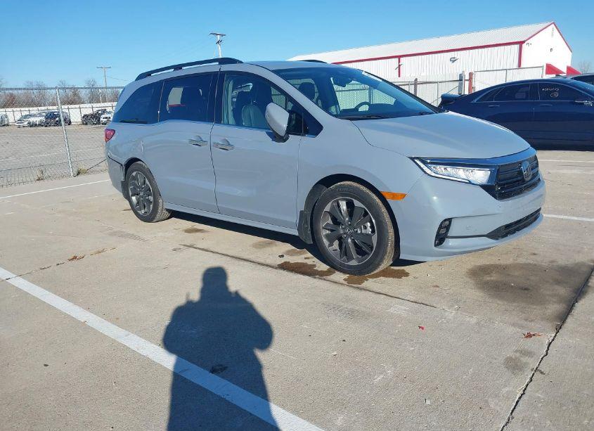 2024 Honda Odyssey ELITE (VIN 5FNRL6H91RB001130) main photo