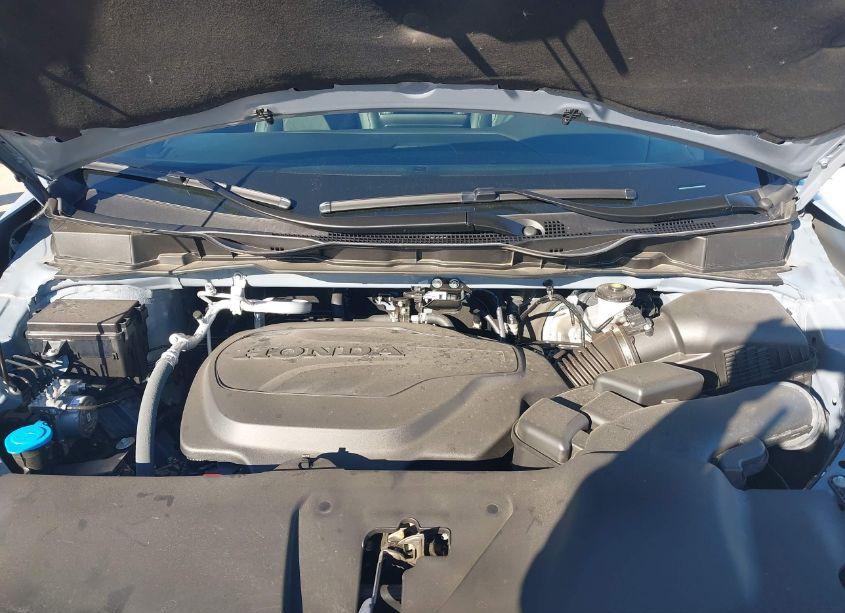 Photo 10 of 2024 Honda Odyssey ELITE (VIN 5FNRL6H91RB001130)