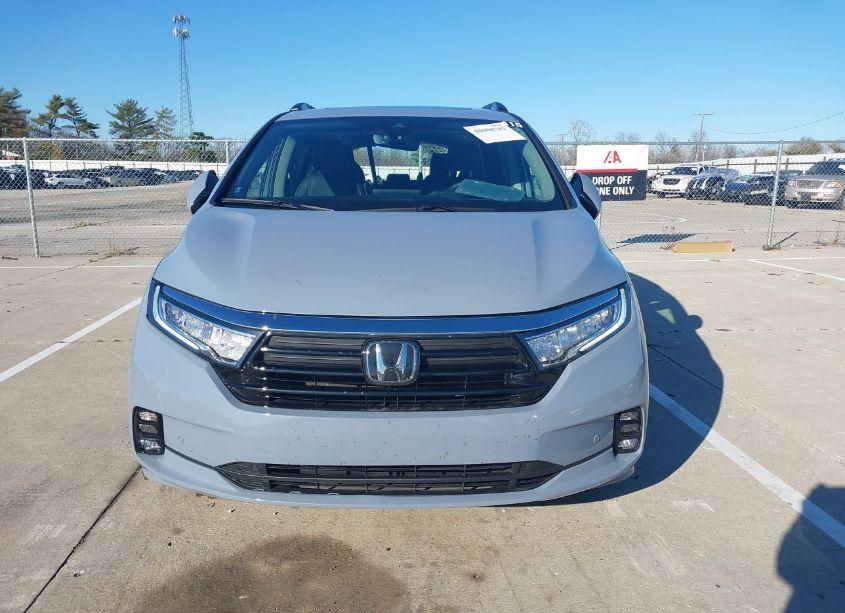 Photo 13 of 2024 Honda Odyssey ELITE (VIN 5FNRL6H91RB001130)