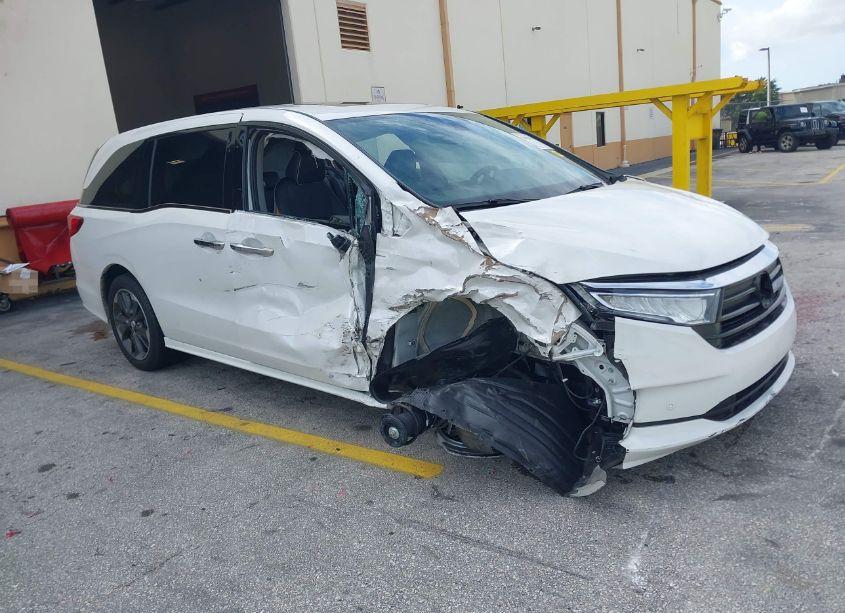 2023 Honda Odyssey ELITE (VIN 5FNRL6H92PB063021) main photo