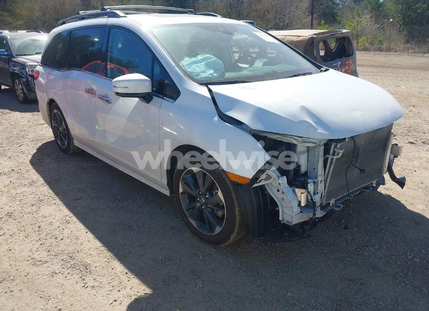 2024 Honda Odyssey ELITE (VIN 5FNRL6H92RB005249) main photo