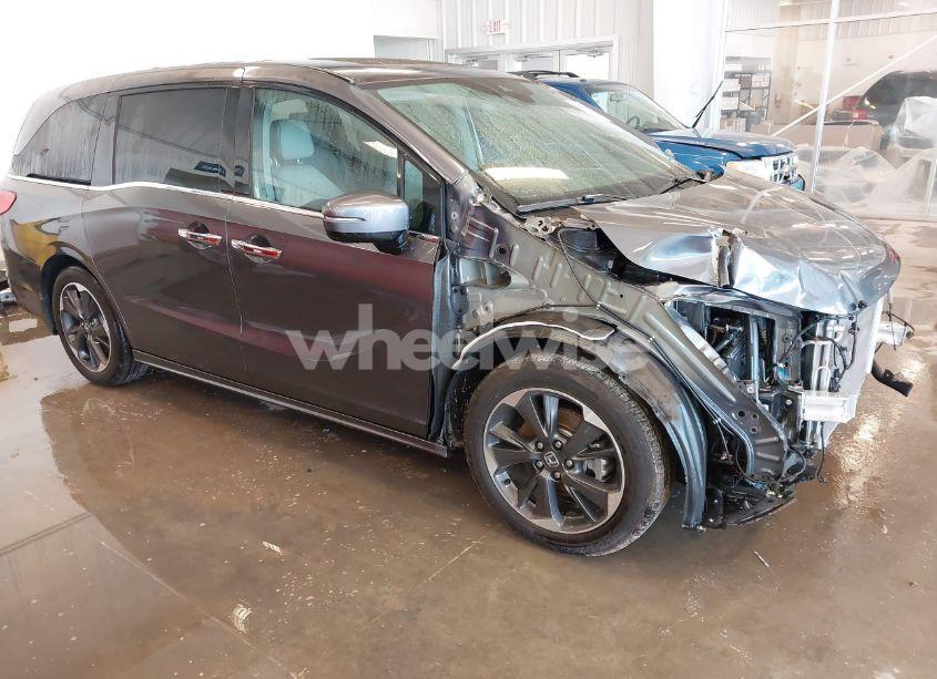 2024 Honda Odyssey ELITE (VIN 5FNRL6H92RB037361) main photo