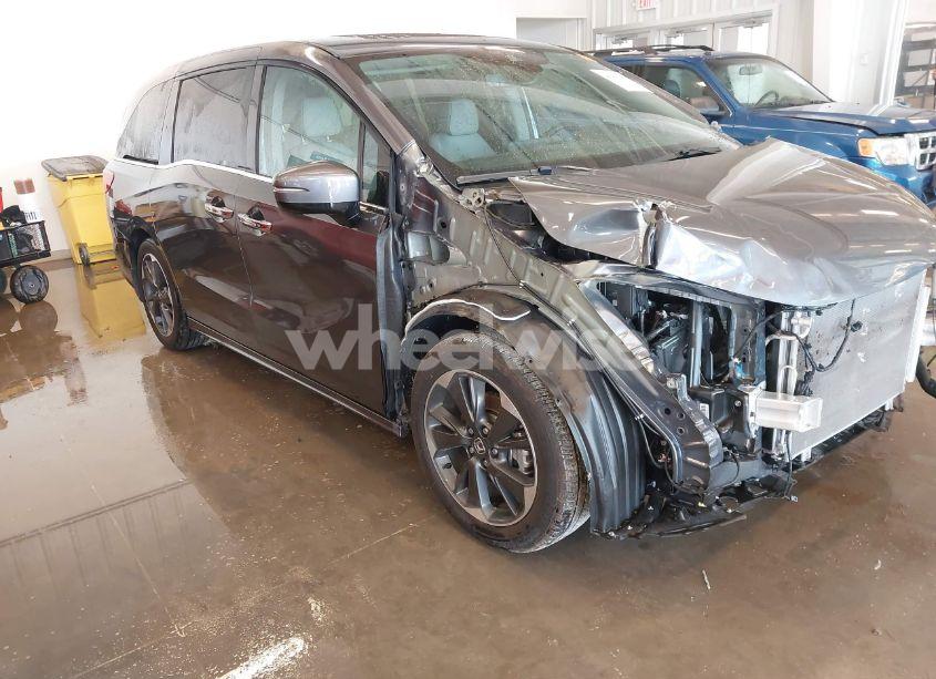 Photo 19 of 2024 Honda Odyssey ELITE (VIN 5FNRL6H92RB037361)
