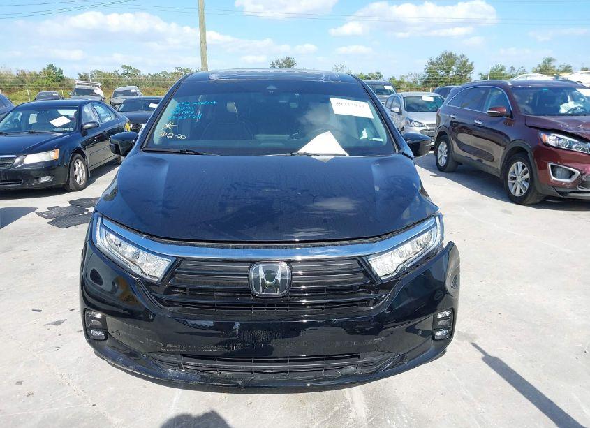 Photo 12 of 2024 Honda Odyssey ELITE (VIN 5FNRL6H92RB059053)