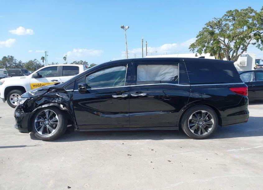 Photo 14 of 2024 Honda Odyssey ELITE (VIN 5FNRL6H92RB059053)
