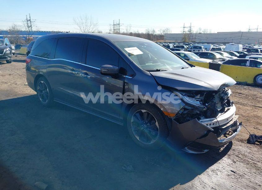 2022 Honda Odyssey ELITE (VIN 5FNRL6H93NB023821) main photo