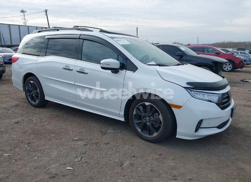 2024 Honda Odyssey ELITE (VIN 5FNRL6H93RB000285) main photo